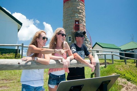 Full-Day Moreton Island 4x4 Sightseeing Tour - Find Attractions 3