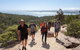 3-Day Tasmania Combo: Launceston To Hobart Active Tour Including Cradle Mountain, Freycinet National Park And Port Arthur - thumb 5