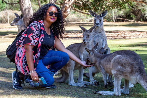 3-Day Tasmania Combo: Hobart To Launceston Active Tour - Find Attractions 5