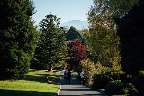 Private Royal Tasmanian Botanical Gardens Walking Tour - Find Attractions 1