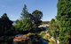 Private Royal Tasmanian Botanical Gardens Walking Tour - thumb 3