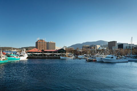 Hobart City Sightseeing Tour Including MONA Admission - Find Attractions 0