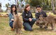 Bonorong Wildlife Park And Richmond Afternoon Tour From Hobart - thumb 1