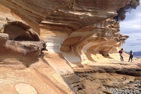 Hobart Minibus Full-Day Private Tour - Find Attractions 0