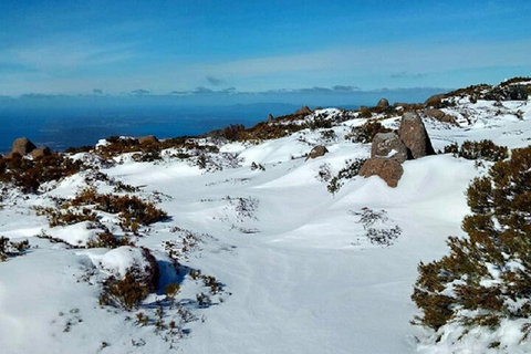 Mt Wellington Ultimate Experience Tour From Hobart - Find Attractions 4