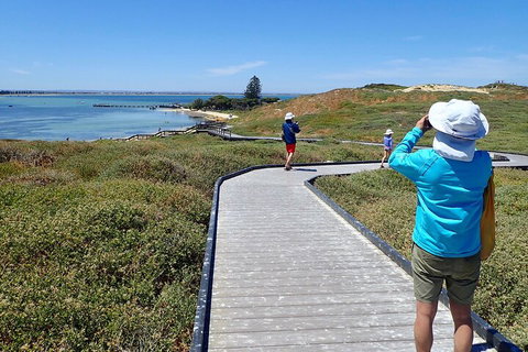 Penguin And Seal Islands Sea Kayaking Experience - Find Attractions 1