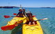 Penguin And Seal Islands Sea Kayaking Experience - thumb 4
