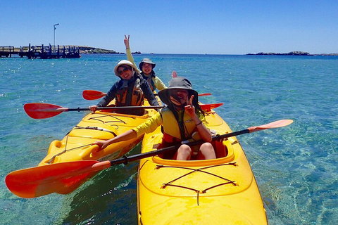 Penguin And Seal Islands Sea Kayaking Experience - Find Attractions 4