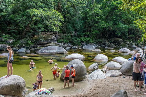 Cape Tribulation, Mossman Gorge, And Daintree Rainforest Day Trip From Cairns Or Port Douglas - Find Attractions 1
