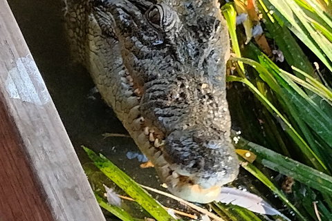 Litchfield Park Adventures And Jumping Crocodile Cruise + Butterfly Farm - Find Attractions 1