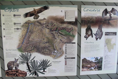 Jumping Crocodile Cruise And Berry Springs Nature Park - Find Attractions 2