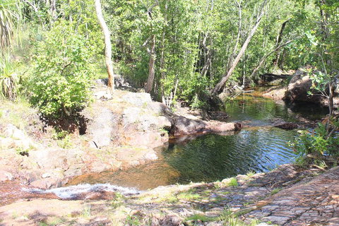 Jumping Crocodile Cruise And Berry Springs Nature Park - Find Attractions 3