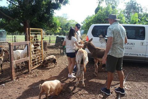 Jumping Crocodile Cruise And Berry Springs Nature Park - Find Attractions 4