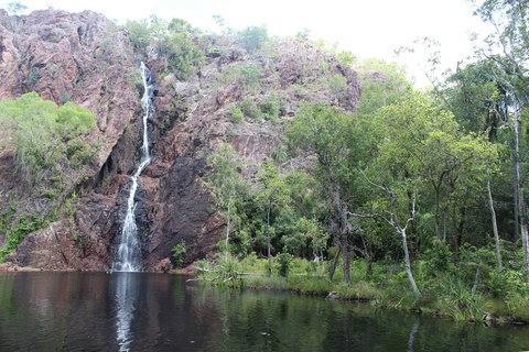 Jumping Crocodile Cruise And Berry Springs Nature Park - Find Attractions 5