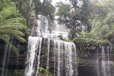 6-Day Hearty Tasmania Tour (Tasmania In A Circle) - Find Attractions 0