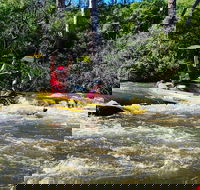 Yarra River Half-Day Rafting Experience - Find Attractions