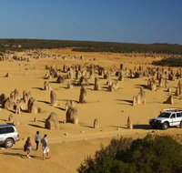 1-Day Pinnacles and Yanchep Tour from Perth including Fish and Chips Lunch - Find Attractions