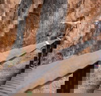 Chillagoe Caves and Outback Day Trip from Cairns - Find Attractions