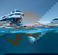 3 Day Great Barrier Reef Daintree Rainforest and Outback Chillagoe Tour - Find Attractions