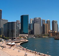 Sydney Half Day Tour with a Local 100 Personalized  Private  - Find Attractions