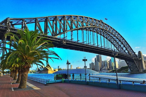 Sydney Half Day Tour With A Local: 100% Personalized & Private â˜…â˜…â˜…â˜…â˜… - Find Attractions 1