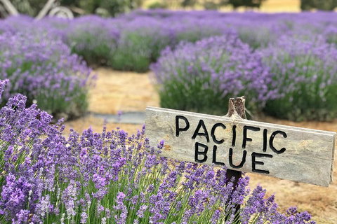 Kangaroo Island Food And Wine Trail Tour - Find Attractions 0