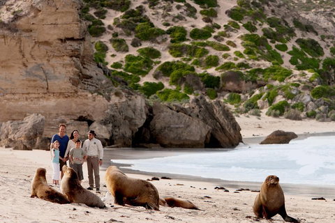 Kangaroo Island Scenic Trail Tour - Find Attractions 5