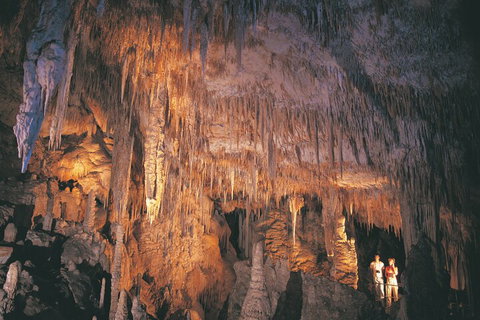 4 Day Tour: Albany, Margaret River, Valley Of The Giants TreeTop Walk From Perth - Find Attractions 1