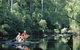 4 Day Tour: Albany, Margaret River, Valley Of The Giants TreeTop Walk From Perth - thumb 3