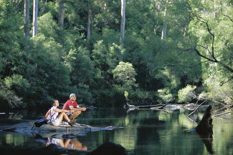 4 Day Tour: Albany, Margaret River, Valley Of The Giants TreeTop Walk From Perth - Find Attractions 3