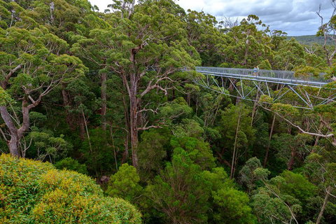 4 Day Tour: Albany, Margaret River, Valley Of The Giants TreeTop Walk From Perth - Find Attractions 4