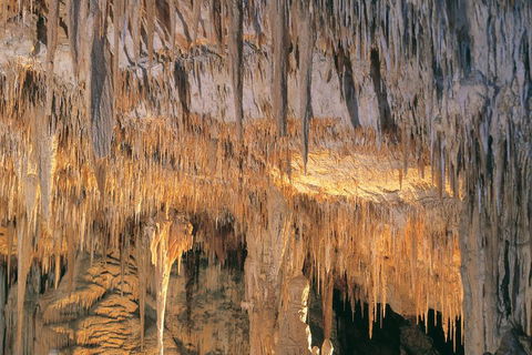 Margaret River, Caves, Wine And Cape Leeuwin Lighthouse Tour From Perth - Find Attractions 3