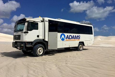 Pinnacles Desert, Koalas And Sandboarding 4WD Day Tour From Perth - Find Attractions 2