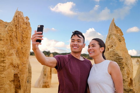 Pinnacles Desert, Koalas And Sandboarding 4WD Day Tour From Perth - Find Attractions 4