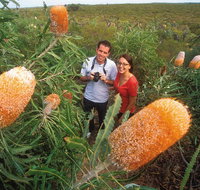 Best of Perth Wildflower Season Day Trip - Find Attractions