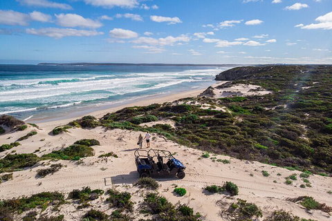 Small-Group Buggy Tour At Little Sahara With Guide - Find Attractions 1