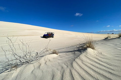 Small-Group Buggy Tour At Little Sahara With Guide - Find Attractions 3