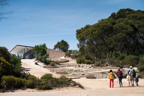 2-Hour Koala Walking Tour In Kangaroo Island - Find Attractions 3