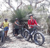 2 Hour Bike Tour in Kangaroo Island - Find Attractions