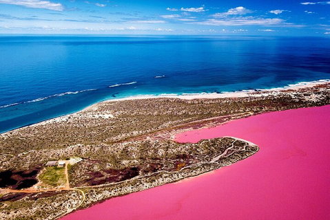 Pink Lake Small-Group Buggy Tour - Find Attractions 0