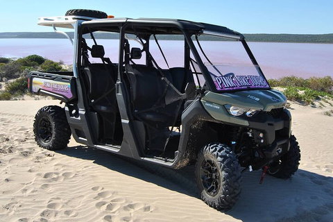 Pink Lake Small-Group Buggy Tour - Find Attractions 1
