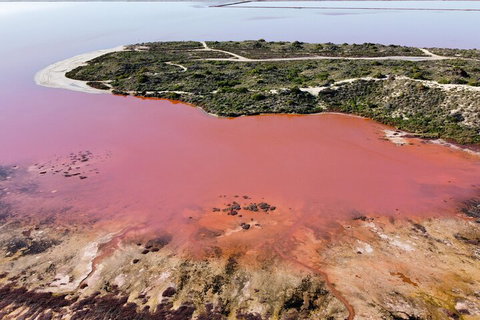 Pink Lake Small-Group Buggy Tour - Find Attractions 2