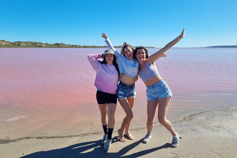 Pink Lake Small-Group Buggy Tour - Find Attractions 3
