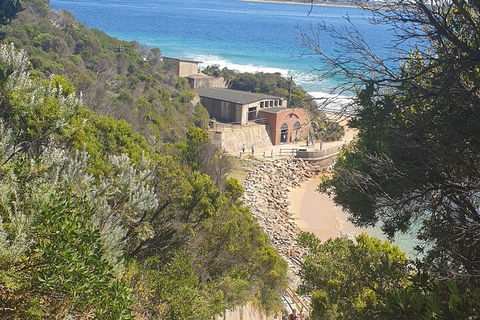 Fort Nepean And Quarantine Station Tour - Find Attractions 4