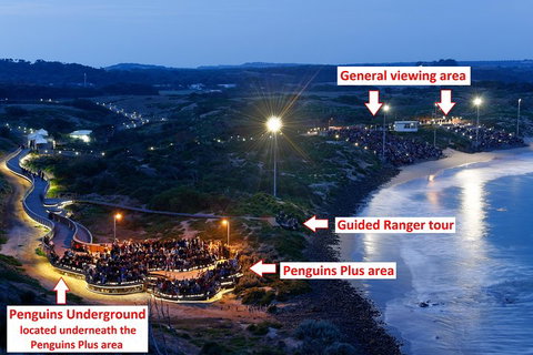 Phillip Island Penguin, Brighton Beach, Moonlit Sanctuary From Melbourne - Find Attractions 4