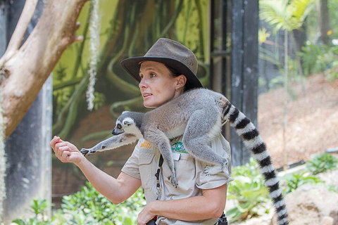 Currumbin Wildlife Sanctuary General Entry Ticket - Find Attractions 1