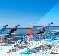 Calypso Outer Great Barrier Reef Cruise from Port Douglas - Find Attractions