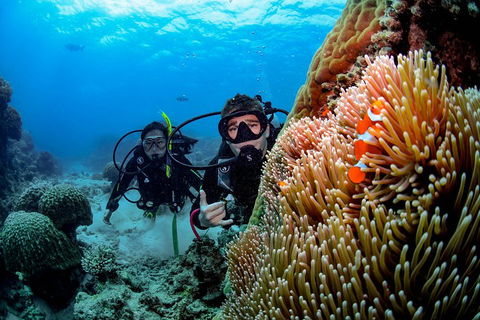 Full Day Reef Cruise Including 10 Minute Heli Scenic Flight: Get High Package - Find Attractions 5