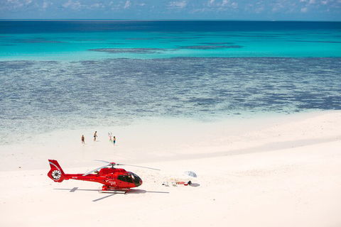 Private Helicopter Tour: Reef Island Snorkeling And Gourmet Picnic Lunch - Find Attractions 2