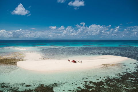 Private Helicopter Tour: Reef Island Snorkeling And Gourmet Picnic Lunch - Find Attractions 4